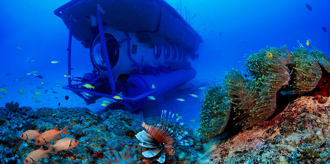 Submarine Underwater Trip