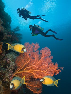 diving mauritius underwater waterfall
