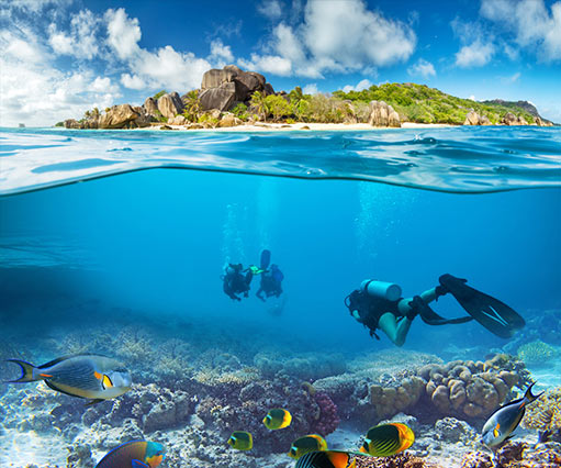 Mauritius Diving and Diving Courses