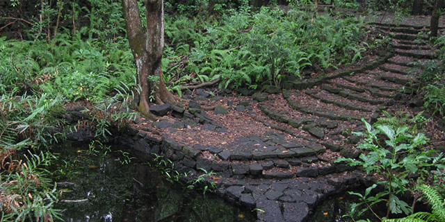 Bras D’Eau National Park