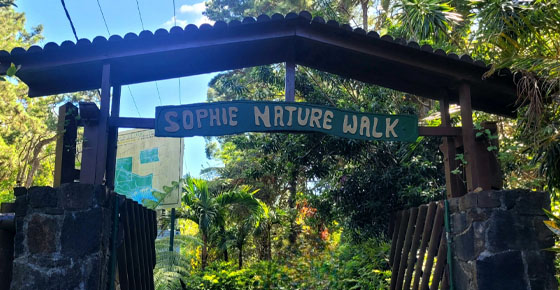 Sophie Nature Park - A Peaceful Nature Walk in the Heart of Mauritius