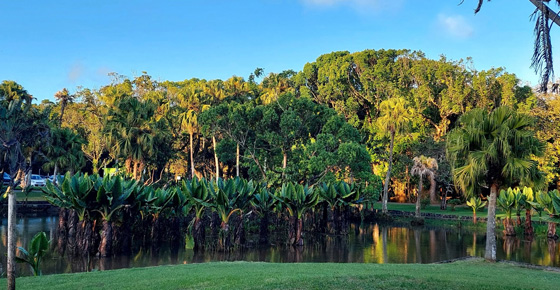 Curepipe Botanical Garden