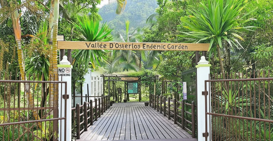 La Vallée d’Osterlog Endemic Garden