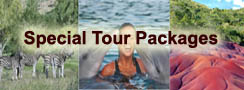 Tour