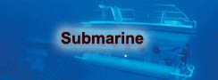 Submarine
