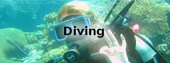Diving