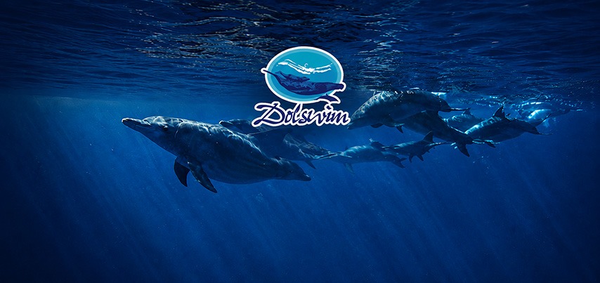 Partner Banner