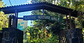 Sophie Nature Park - A Peaceful Nature Walk in the Heart of Mauritius