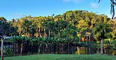 Curepipe Botanical Garden