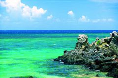 Mauritius Ile aux aigrettes island Mauritius Ile aux aigrettes island