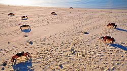 Saint Brandon Island Mauritius Saint Brandon Island Mauritius