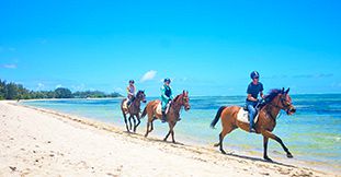 Ultimate Beach & Nature Horse Ride in Mauritius' Wild South