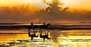 Romantic Sunset Beach Horse Riding Mauritius - South Coast