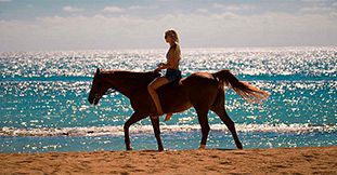 Horse Riding at Balaclava Equestrian Centre