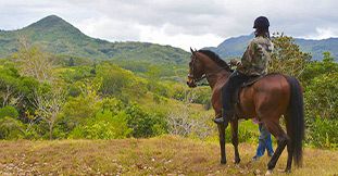 Horse Riding at Lavilleon Adventure Park