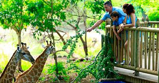 Visit to Casela Nature Parks - African Safari & Adventures