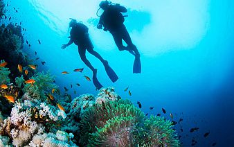 Mauritius Underwater Excursions