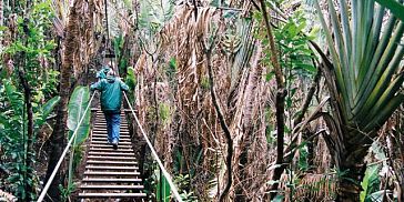 Mauritius adventure park
