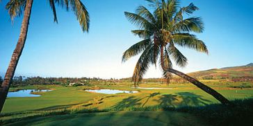 Golf du Château - Golf Course (Bel Ombre) -  Mauritius 