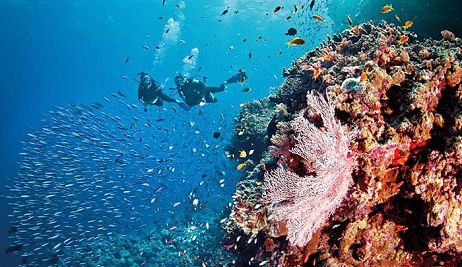 diving mauritius underwater waterfall