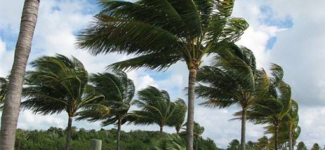 Mauritius Winds