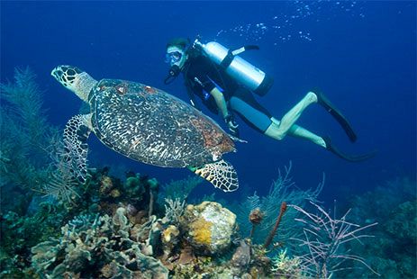 Diving Courses in Mauritius