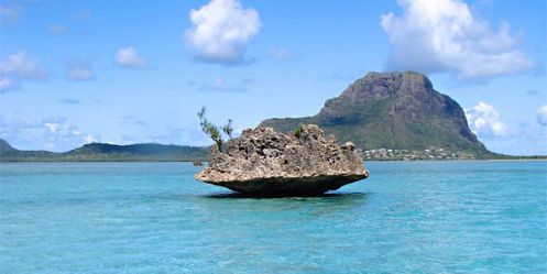Catamaran Cruise - See Dolphins + Visit Benitiers Island + Lunch - Mauritius Attractions Catamaran Cruise - See Dolphins + Visit Benitiers Island + Lunch - Mauritius Attractions