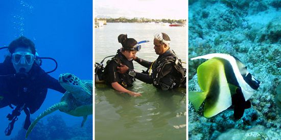 Padi Discover Diving - Initiation Dives - Grand Bay
