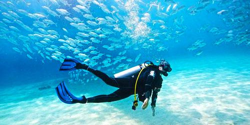 Diving Sessions In The Northern Coast Of Mauritius - Pereybere