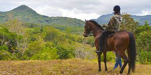 Horse Riding at Lavilleon Adventure Park