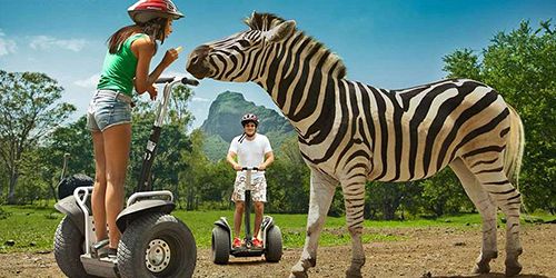 Mauritius Segway Safari Trip