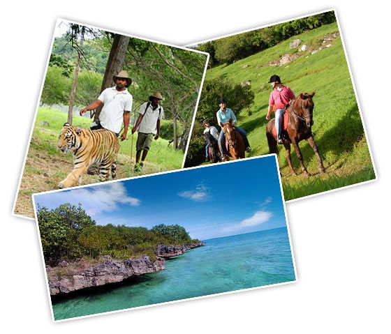 Mauritius Land Excursions