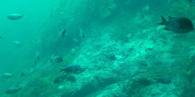 Underwater semi submarine trip mauritius