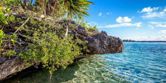 Aigrettes island mauritius south east