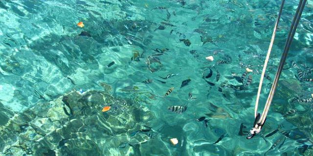 Snorkeling flat island mauritius