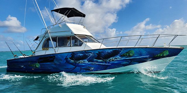 Private speed boat trip coin mire flat island half2016
