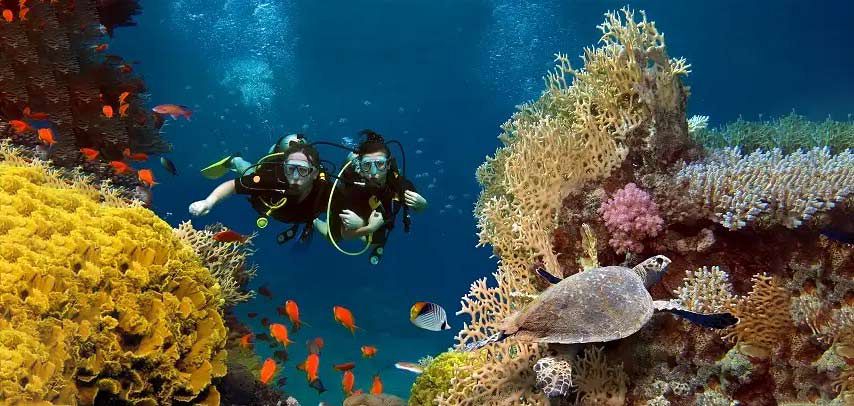 Scuba Diving in Mauritius