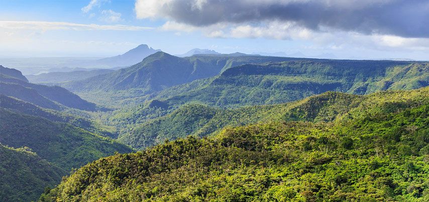 Nature in Mauritius