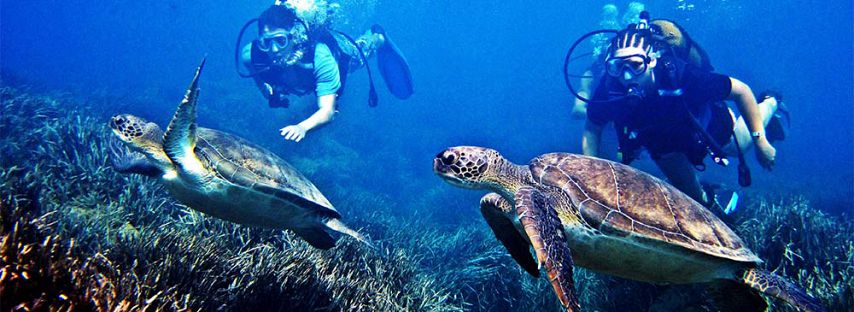 Mauritius Underwater Excursions