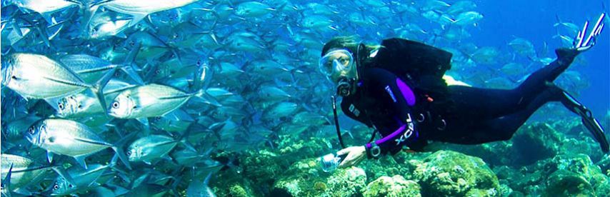 diving mauritius underwater waterfall