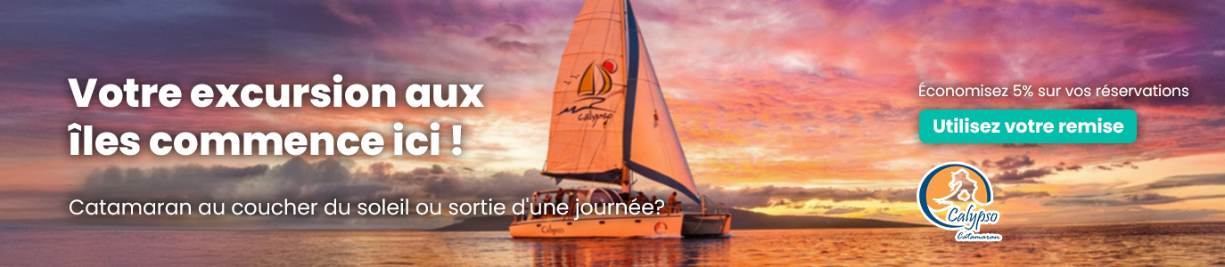 Calypso French Banner