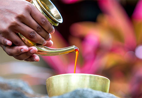 Mauritius Best Spa Hotel Mauritius Best Spa Hotel