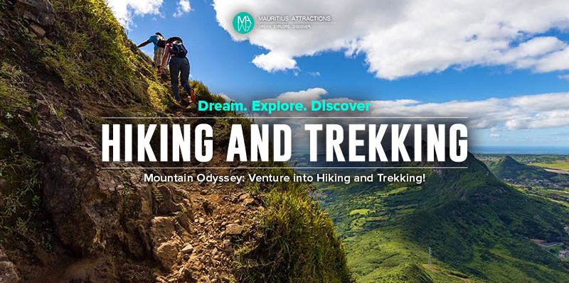 Mauritius Hiking and Trekking Trips – Ziplines and Mountain Hikes ...