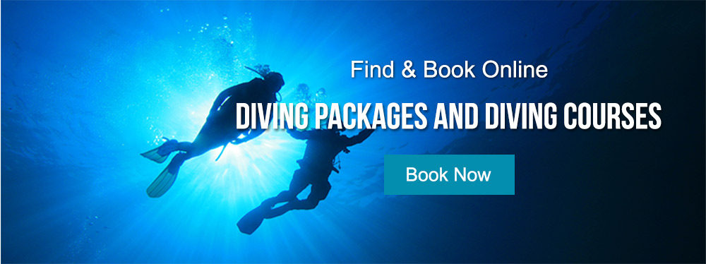 Diving Packages & Diving Courses in Mauritius