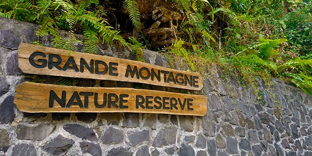 Explore rodrigues guided visit grande montagne nature reserve lunch on the beach (1)