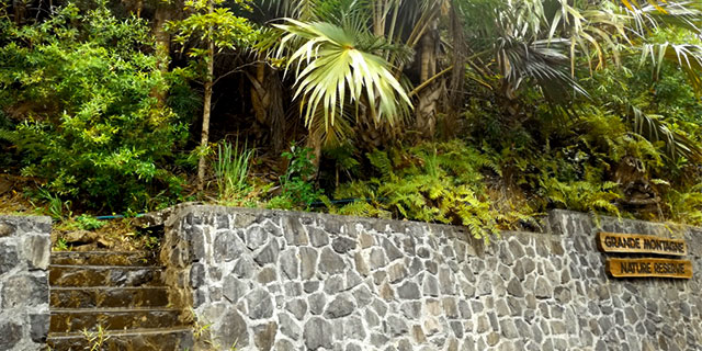 Explore rodrigues guided visit grande montagne nature reserve lunch on the beach (2)