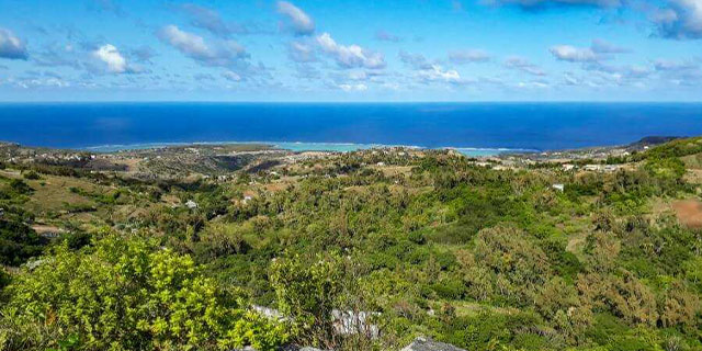 Explore rodrigues guided visit grande montagne nature reserve lunch on the beach (3)
