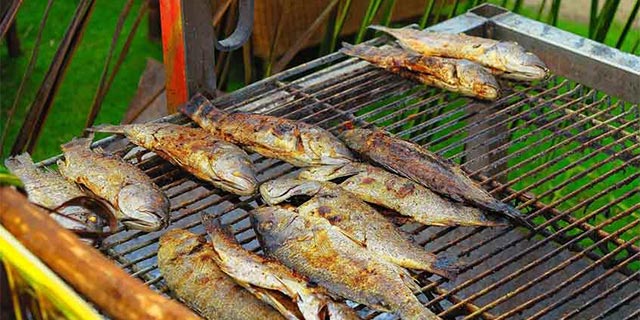 Explore rodrigues guided visit grande montagne nature reserve lunch on the beach (9)