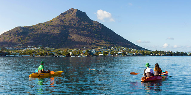 Kayaking dolphins west coast (1)