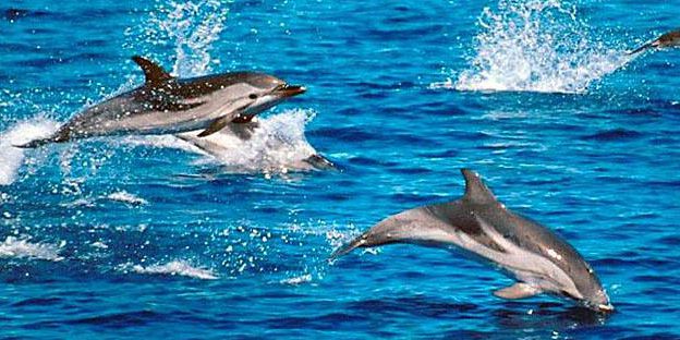 Lagoon 500 yacht cruise mauritius (14)